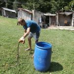 Ove tri biljke su najgori neprijatelji zmija: Sadite ih oko kuće