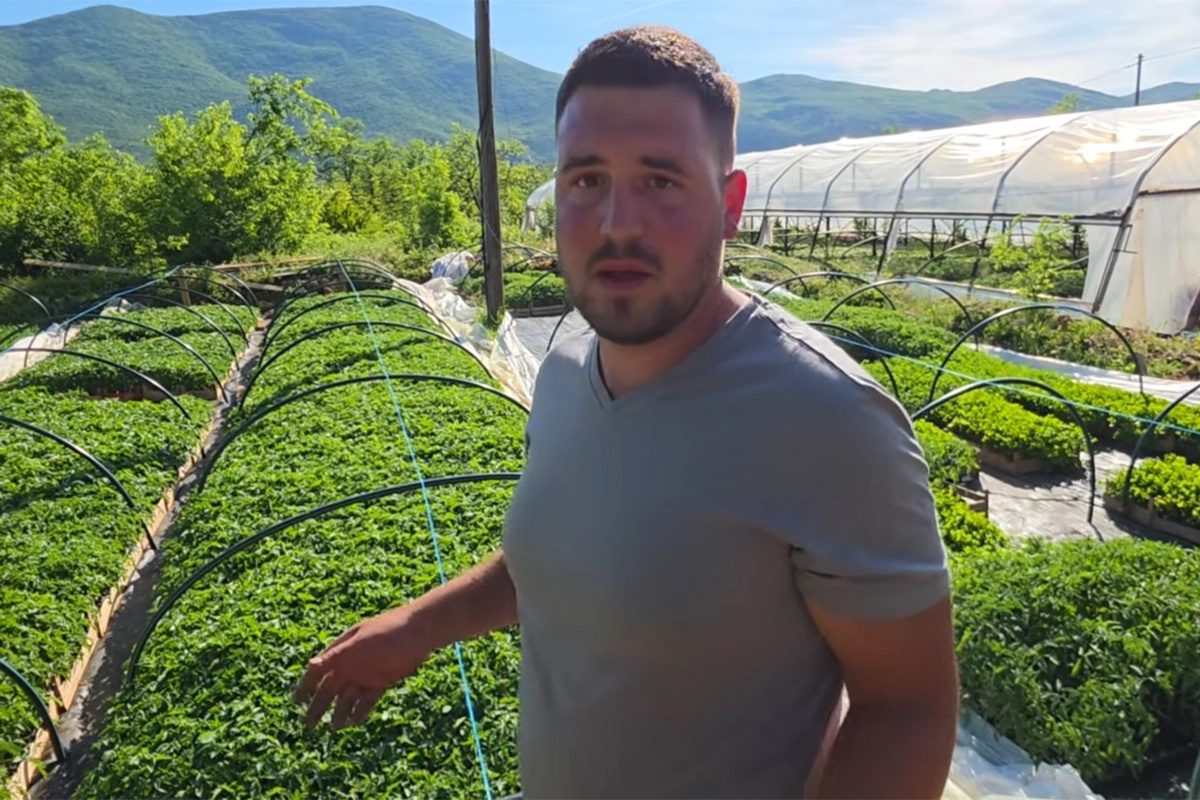 Odbio otići iz BiH, dao otkaz i izgradio posao sa 150.000 sadnica