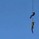 Krokodil progutao čovjeka, policajca spustili u rijeku punu krokodila da izvuče ostatke
