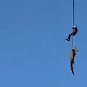 Krokodil progutao čovjeka, policajca spustili u rijeku punu krokodila da izvuče ostatke