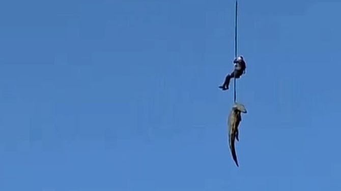 Krokodil progutao čovjeka, policajca spustili u rijeku punu krokodila da izvuče ostatke