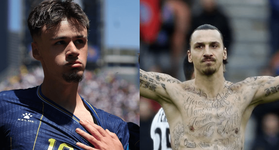 Emotivni Zlatan Ibrahimović nakon historijskog uspjeha BiH: "Naježim se, to su očevi korijeni"